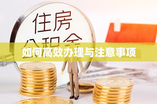 乌拉特前旗如何高效办理与注意事项