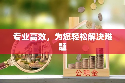乌拉特前旗专业高效，为您轻松解决难题